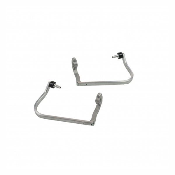 Daisy on the Ohoopee